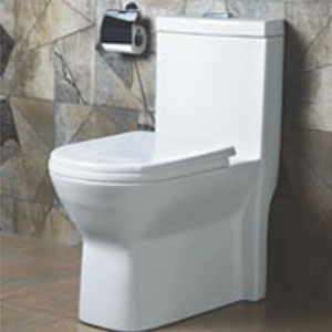 One Piece Water Closet