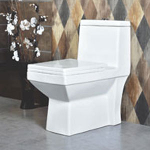 One Piece Water Closet