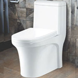 One Piece Water Closet