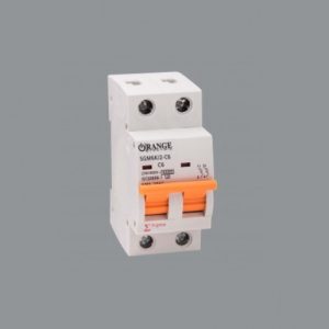 Isolator Sigma 2 pole 40A